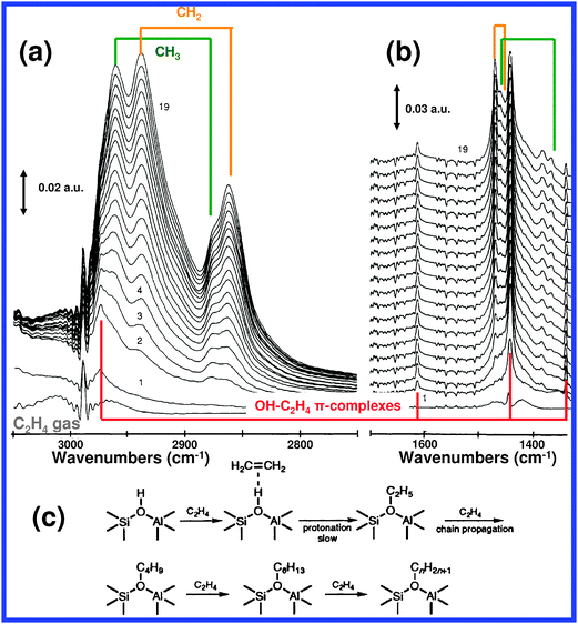 Probing the surfaces of heterogeneous catalysts by in situ IR