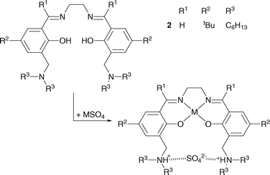 Loading of a metal(II) sulfate into the zwitterionic form of a “salen-type” metal salt extractant.6