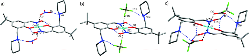 Crystal structures showing the closest contacts of the anions (X) with the copper atom and the piperidinium NH groups in the tritopic assemblies a) [Cu(L2)2(NO3)2], X⋯Cu = 2.722(2), X⋯N6 = 2.842(2) Å; b) [Cu(L2)2(BF4)2], X⋯Cu = 2.638(2), X⋯N6 = 2.780(4) Å and c) [Cu(L2)2(CF3CO2)2], X⋯Cu = 2.673(5), X⋯N6 = 2.766(8) Å. All H atoms not involved in H-bonding have been removed for clarity.