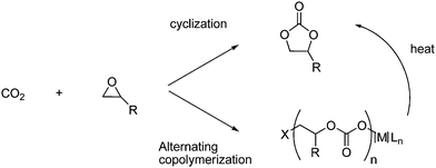 Reaction with oxiranes and CO2 can lead to cyclic or polymeric carbonates.