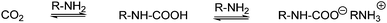 Formation of alkylammonium alkylcarbamate from two molecules of amine and CO2.