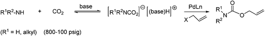 Synthesis of O-allyl carbamates from a carbamate ion and allylic chlorides.
