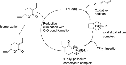 Catalytic cycle for the formation of a lactone from 1,3-butadiene.
