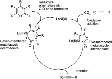 The catalytic cycle for the formation of a lactone from acetylene.