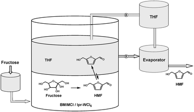 Continuous process for fructose conversion to HMF at low temperature in the THF-[BMIM]Cl biphasic system with tungsten catalyst.