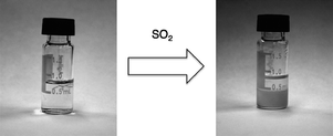 Left: DBUA and hexanes, Right: DBUA-SO2 and hexanes.