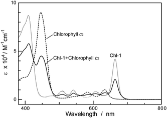 Absorption spectra of Chl-1, chlorophyll c2, and their mixture in ethanol.