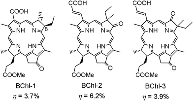 Molecular structures of BChl-1–3 sensitizers for DSSCs.