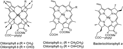 Molecular structures of naturally occurring chlorophyll pigments.