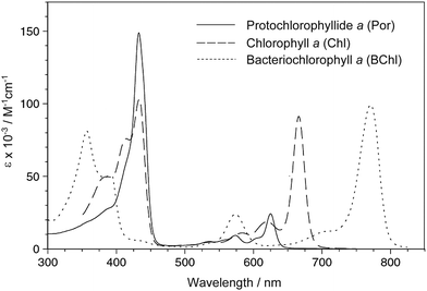 Absorption spectra of naturally occurring chlorophylls with Por, Chl and BChl macrocycles in THF. Protochlorophyllide a is a 17-CH2CH2COOH analog of chlorophyll c1.