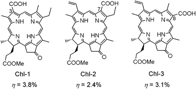 Molecular structures of Chls-1–3 with carboxy group located at C3-, C7- and C8-positions on the Chl macrocycle.