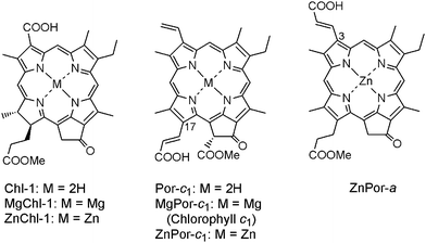 Molecular structures of Chl-1 and Por-c1 having 2H, Zn and Mg at the central position, and of ZnPor-a.