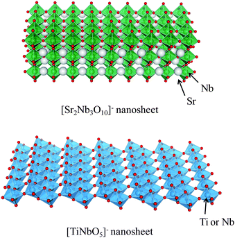 Schematic structures of [Sr2Nb3O10]− nanosheet and [TiNbO5]− nanosheet (green ball: Nb, white ball: Sr, blue ball: Ti or Nb).