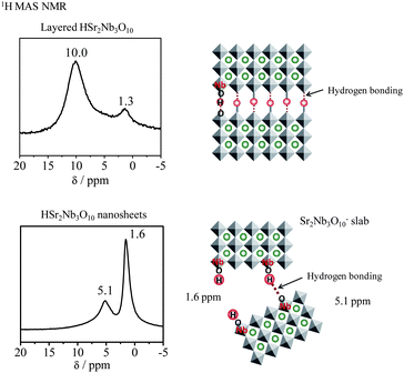 
            1H MAS NMR spectra for layered HSr2Nb3O10 and HSr2Nb3O10 nanosheets.