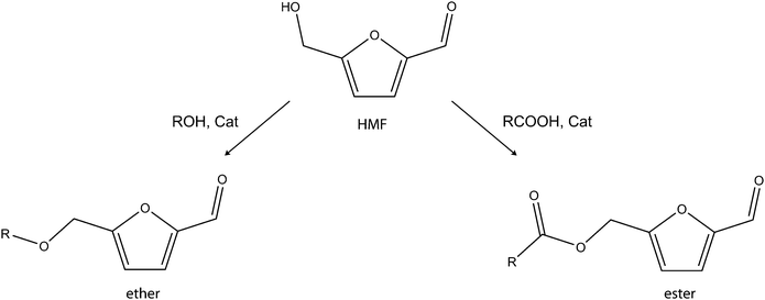 Formation of alkoxylmethylfurfural ethers and esters.