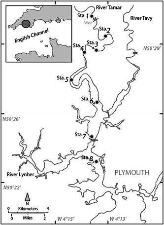 Map of the Tamar estuary showing the sampling locations for the eight stations.