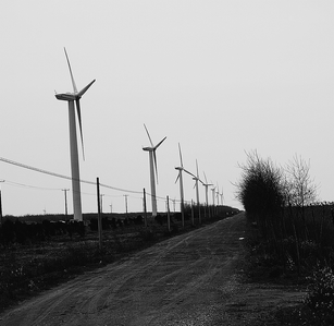 Wind turbines in operation at Dongtan.