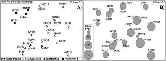 (A) MDS (Multidimensional scaling) of metazoan assemblages (mean values) recorded in groundwater monitoring wells at two sampling occasions in April and October 2007. Only wells populated by metazoan taxa, which could be classified to ecological groups, are included. (B) MDS overlaid by concentrations of nitrate.