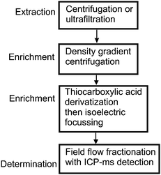 A hypothetical quantitative analysis scheme for gold nanoparticles in water.