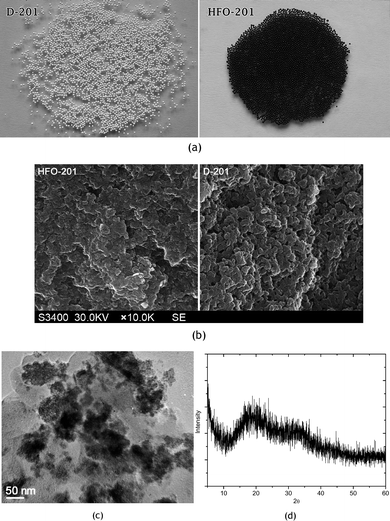 Characterization of D-201 and the hybrid adsorbent HFO-201. (a) Light photograph of D-201 and its HFO derivative HFO-201; (b) Scanning electron microphotograph (SEM) of a sliced D-201 and HFO-201; (c) Transmission electron microphotograph (TEM) of HFO-201; and (d) XRD pattern of the resulting adsorbent HFO-201.