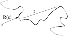 The end-to-end vector of a tube segment, which defines the microscopic strain .