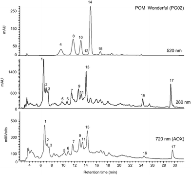 Gradient reversed phase HPLC-PDA-AOX analysis of juice PG02 [POM Wonderful] (see Table 1). For peak identification see legend to Fig. 1 and Table 4.