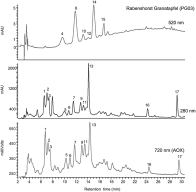 Gradient reversed phase HPLC-PDA-AOX analysis of juice PG03 [Rabenshorst Granatapfel] (see Table 1). For details and peak identification see legend to Fig. 1 and Table 4.