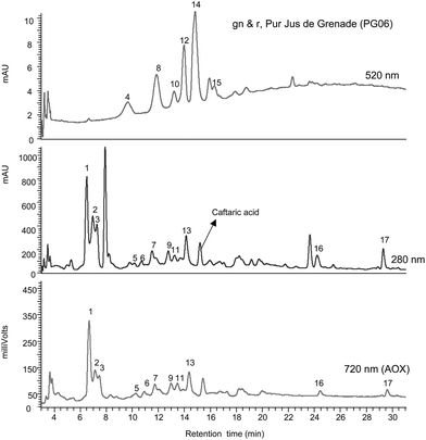 Gradient reversed phase HPLC-PDA-AOX analysis of juice PG06 [gn & r 100% Pur, Jus de Grenade (see Table 1). For details and peak identification see legend to Fig. 1 and Table 4.