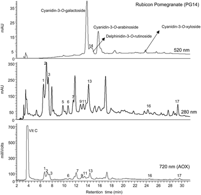 Gradient reversed phase HPLC-PDA-AOX analysis of juice PG14 [Rubicon Pomegranate] (see Table 1). For details and peak identification see legend to Fig. 1 and Table 4.