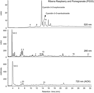 Gradient reversed phase HPLC-PDA-AOX analysis of juice PG33 [Ribena Raspberry and Pomegranate] (see Table 1). For details and peak identification see legend to Fig. 1 and Table 4.