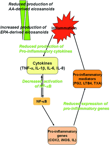 Schematic representation of some of the points at which n-3 PUFA may affect the development of chronic inflammation in IBD. Long chain n-3 fatty acids (EPA and DHA) are incorporated into cell membranes where they influence the production of eicosanoids, resolvins, and cytokines. A number of n-3 PUFA act as substrates for the synthesis of eicosanoids, which in turn may directly down-regulate inflammation. This biosynthetic process may also competitively reduce the formation of eicosanoids from n-6 PUFA, which again may reduce inflammation. Long chain n-3 PUFA can also down-regulate the activation of the expression of pro-inflammatory genes, including TNF-α, Cyclooxygenase-2 (COX-2), inducible nitric oxide synthase (iNOS) or various interleukins (IL), possibly through their effects on transcription factors or through their conversion to resolvins. They also have effects on T cell reactivity and antigen presentation (not illustrated).