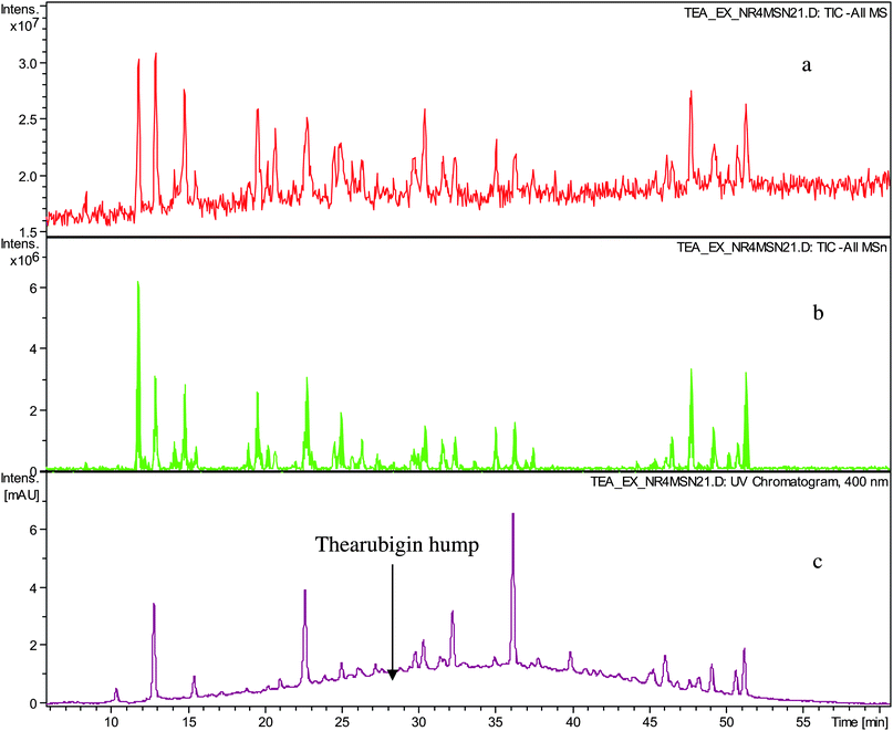 HPLC chromatogram of sample TR IV a) TIC in negative ion mode, b) TIC of all MSn in negative ion mode and c) UV trace monitored at 400 nm showing well-resolved peaks and thearubigin hump.