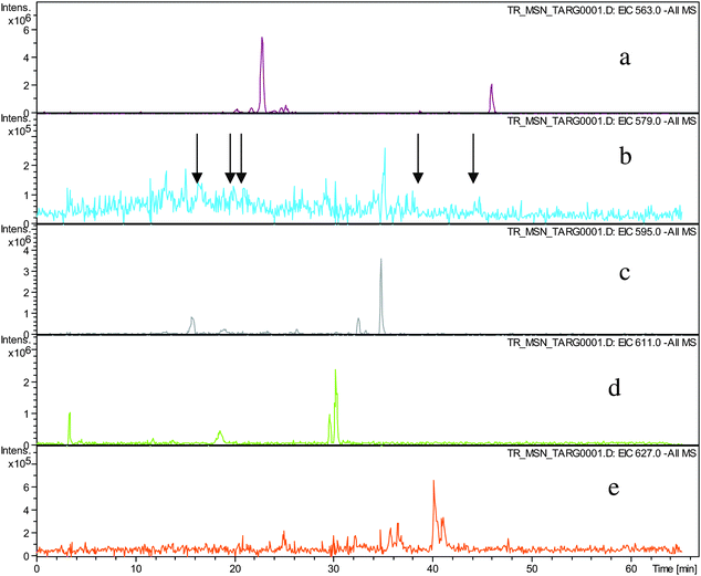 EIC chromatograms for parent ions in homologous series A: a) EIC of ion 8 at m/z 563.2, b) EIC of ions 8 + O1 at m/z 579.2, (arrows indicating location of peaks of low intensity), c) EIC of ions 8 + O2 at m/z 595.2, d) EIC of ions 8 + O3 at m/z 611. e) EIC of ions 8 + O4 at m/z 627.2.