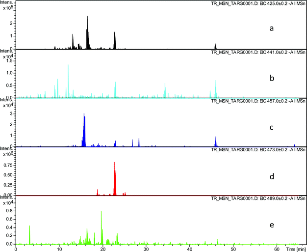 EIC chromatograms extracted from all MSn data for RDA fragment ions in homologous series A: a) EIC of fragment ion at m/z 425.1, b) EIC of fragment ion at m/z 441.1, c) EIC of fragment ion at m/z 457.1, d) EIC of fragment ion at m/z 473.1, e) EIC of fragment ion at m/z 489.1.