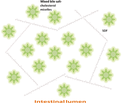 Entrapment of mixed bile salt-cholesterol micelles in a SDF network.