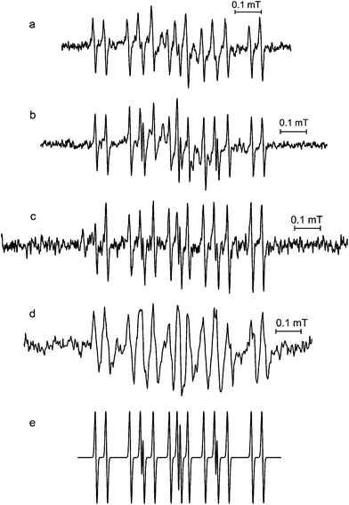 EPR spectra of solutions of (a) Ilex kudincha, (b) Ilex latifolia, (d) cynarin after alkaline autoxidation outside the spectrometer, and (c) alkaline autoxidised chlorogenic acid using a pump-flow system (after the pump was stopped); (e) shows a simulation using the parameters from Table 1. 0.1 M NaOH was used and mixed in a ratio of 1 : 1 with either the tea extract (20 mg ml−1) or 10 mM of the polyphenol. All spectra were recorded using 2 mW microwave power. 100 kHz modulation frequency was used for (a), (b) and (d), and 10 kHz for (c). Modulation amplitudes were 2 μT for (a) 5 μT for (b), 10 μT for (c), and 20 μT for (d).