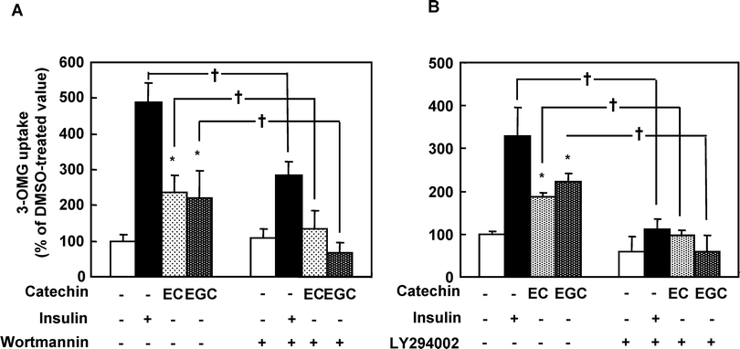 Effects of LY294002 and wortmaninn on the EC- and EGC-induced glucose uptake activity in 3T3-L1 cells. Serum-starved cells were incubated with 100 μM LY294002 or 100 nM wortmaninn for 10 min, and treated with 50 μM catechins for another 30 min. DMSO and 100 nM insulin were used for a negative and positive control, respectively. Data are expressed as the mean ± SE (n = 4). * Significant difference from control, p < 0.05 by Student's t-test.