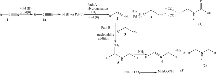 Proposed reaction mechanism of benzonitrile hydrogenation depending on the reaction conditions.