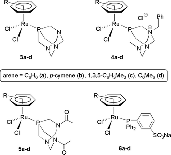 Structure of the water-soluble ruthenium(ii) catalysts used in this study.