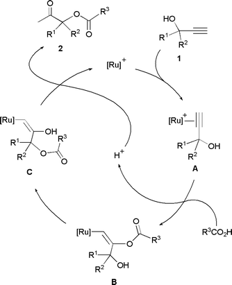 Proposed mechanism for the Ru-catalyzed β-oxo ester formation reactions
