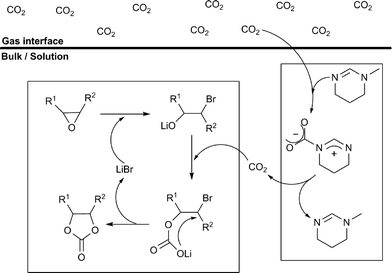 Delivery of CO2 by amidine and its insertion reaction with epoxide.