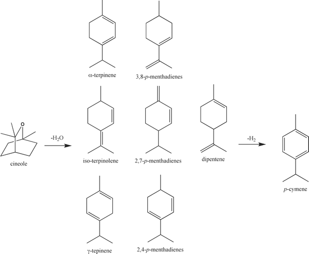 The proposed reaction sequence for the catalytic transformation of cineole into p-cymene.