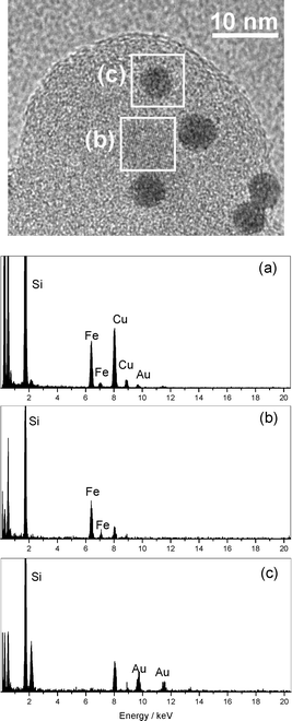 HRTEM image and EDS analysis of the AuNP magnetically recoverable catalyst 4 in different areas of the image: (a) corresponds to the whole area, (b) corresponds to the iron oxide particle shown in box b and (c) corresponds to the gold particle shown in box c.