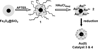 Step-by-step preparation of magnetically recoverable AuNPs.