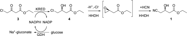 Two-step, three-enzyme process for hydroxynitrile 1.