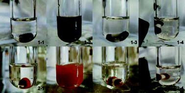 Photo of 1-1: Fe3O4 nanoparticles in THF; 1-2: Fe3O4 nanoparticle dispersion in THF; 1-3: Fe3O4 nanoparticles adsorbed on the magnetic stirring bar; 1-4: a magnet attracted the magnetic stirring bar and Fe3O4 nanoparticles; 2-1: Fe2O3 nanoparticles in THF; 2-2: Fe2O3 nanoparticle dispersion in THF; 2-3: Fe2O3 nanoparticles adsorbed on the magnetic stirring bar; 2-4: a magnet attracted the magnetic stirring bar and Fe2O3 nanoparticles.
