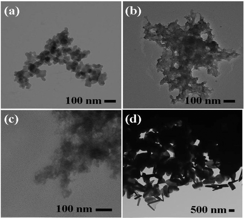 TEM images of (a) T1, (b) T2, (c) T3 and (d) T4 samples.