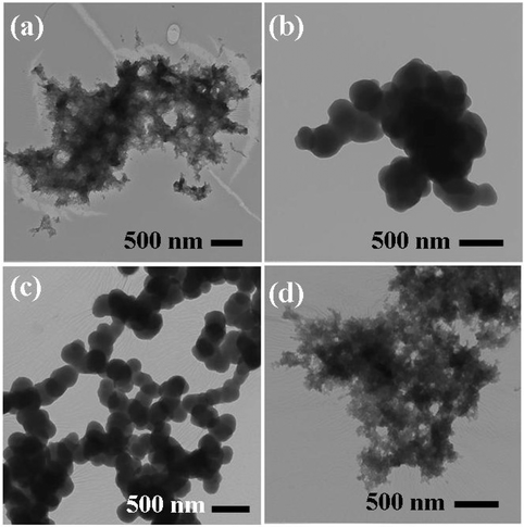 TEM images of (a) T5, (b) T6, (c) T7 and (d) T8 samples.