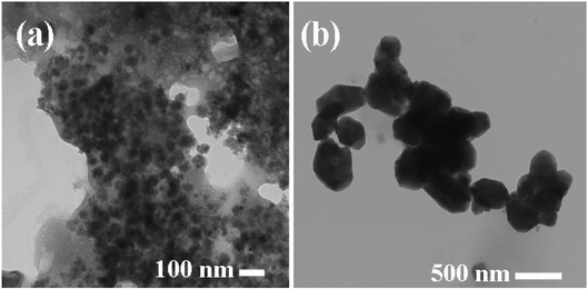 TEM images of (a) C1 and (b) C2 control samples.