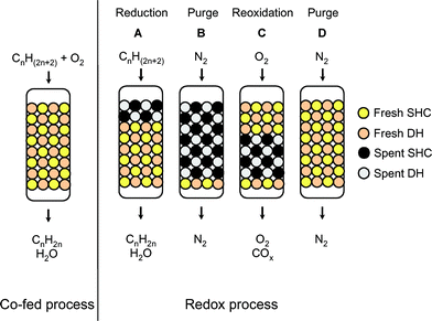 The co-fed (left) and redox (right) oxidative dehydrogenation process. After dehydrogenation step A, the bed is flushed with nitrogen (B) and the catalyst regenerated through reoxidation (C). This burns coke from the dehydrogenation catalyst and restores the lattice oxygen of the SHC catalyst. After another nitrogen flush (D), the reactor is ready for the next redox cycle.